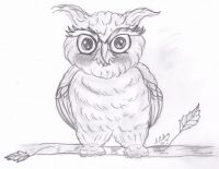 Cutie owl